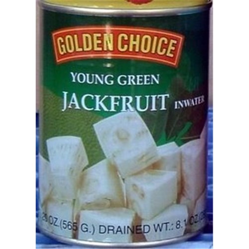 JACK FRUIT IN WATER 565GM
