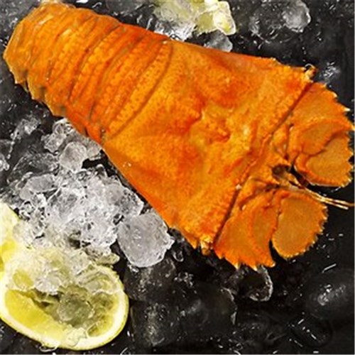 BUGS COOKED LARGE 150-200GM QLD R/W