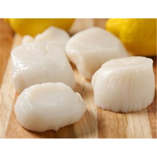 SCALLOPS IQF 20/30 R/OFF 1KG