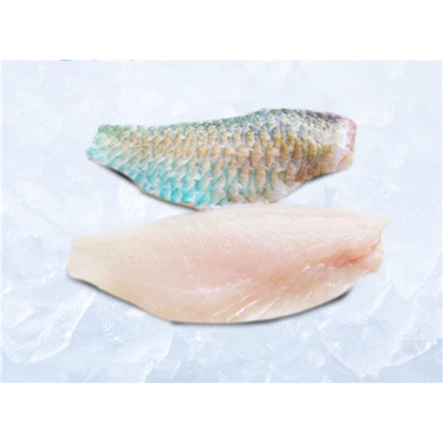 PARROT FISH FILLETS 150GM + R/W QLD