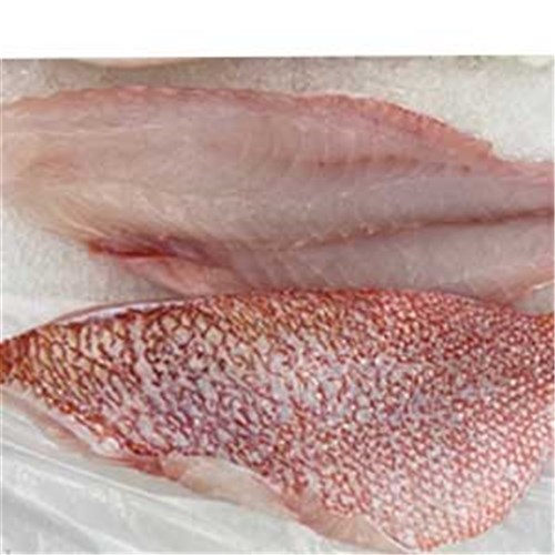 RED EMPEROR PC S/ON 180GM