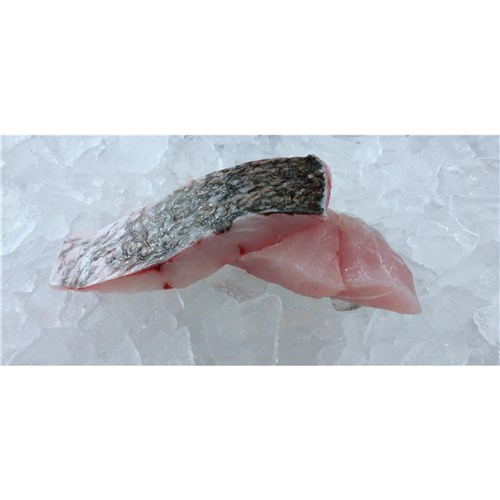 JEWFISH PC S/ON 200GM EACH BLOCK CUT QLD