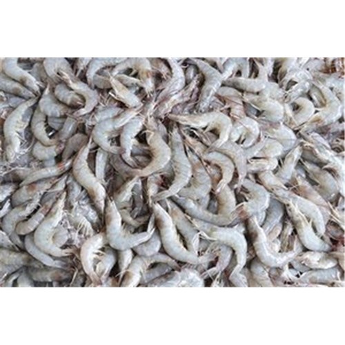 PRAWN SCHOOL RAW FROZEN 500GM