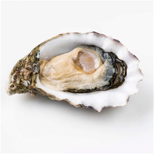 OYSTERS PACIFIC OPEN BISTRO SA