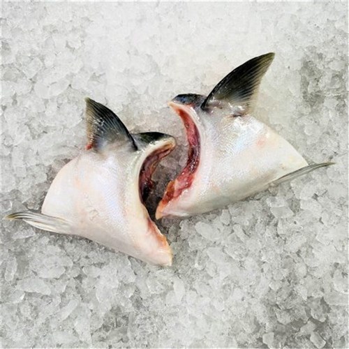 KINGFISH COLLARS & WINGS FRESH S.A R/W