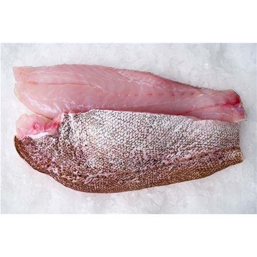 GROUPER FILLETS GIANT S/ON 800GM + R/W