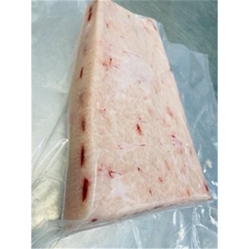 SWORDFISH BELLY WALKERS QLD R/W