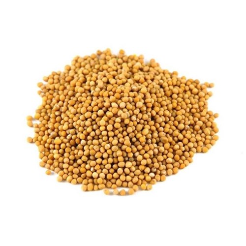 MUSTARD SEED YELLOW 500GM