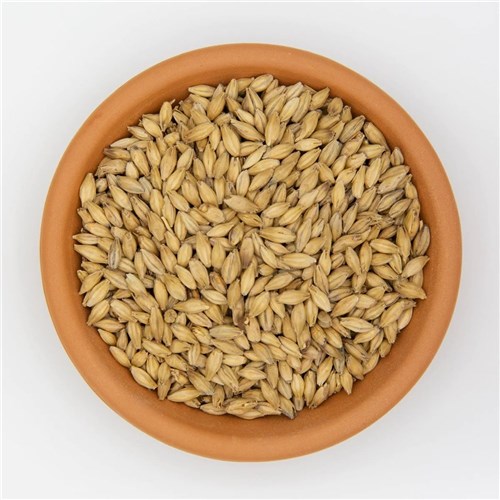 FLOUR MALT WHEAT 25KG