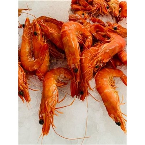 PRAWNS TIGER COOKED 10/15 3KG 