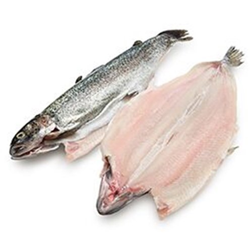RAINBOW TROUT BUTTERFLIED WHOLE 300-400GM FRESH