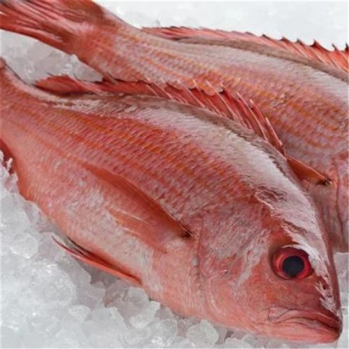 RUBY RED SNAPPER FILLETS S/ON 800GM + R/W