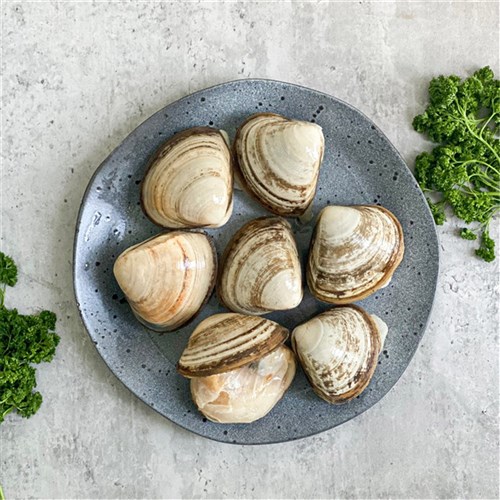 CLAMS FROZEN STORM 1KG
