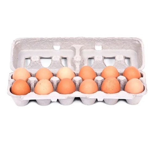 EGGS FREE RANGE 600G 1DOZ