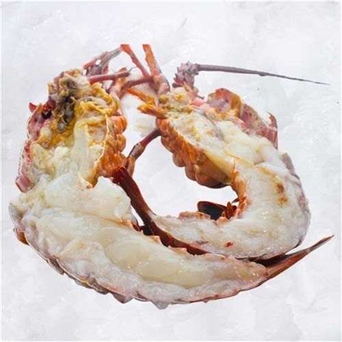 LOBSTER WHOLE RAW 1/2 CUT  W.A 600-800GM R/W